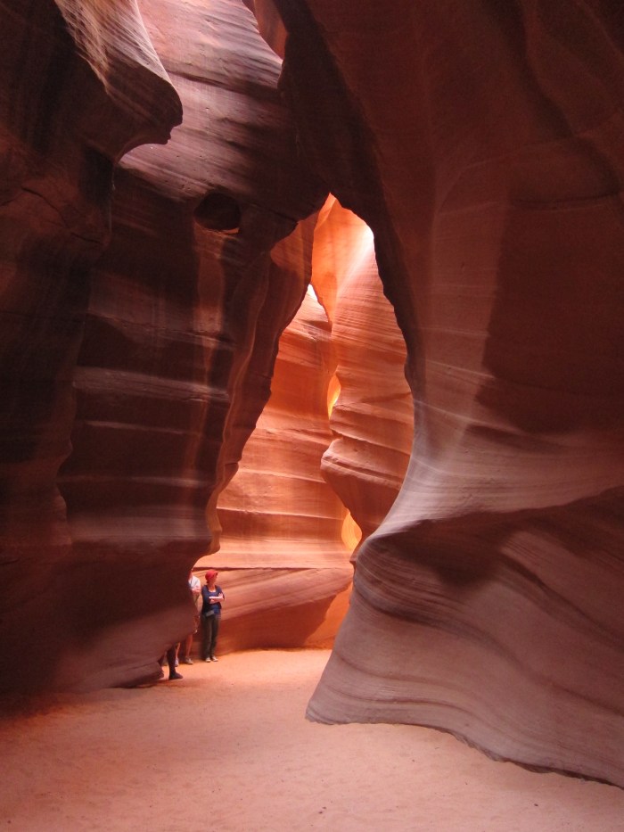 The guides were very informative. They even told you what settings to put your camera and iPhone's on to get the best quality pictures. Can you see the bear in this angle? 