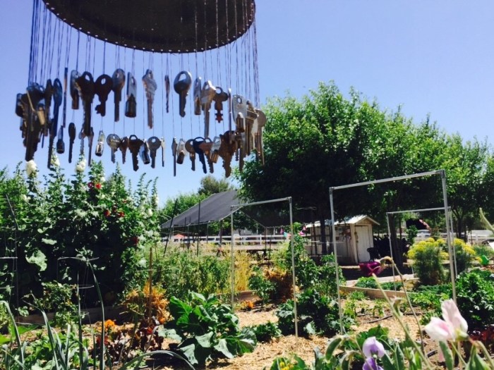 There was a community garden in the same area. Really cool concept! People could lease out plots to plant their own little gardens! Made it into a really nice place to sit and relax!