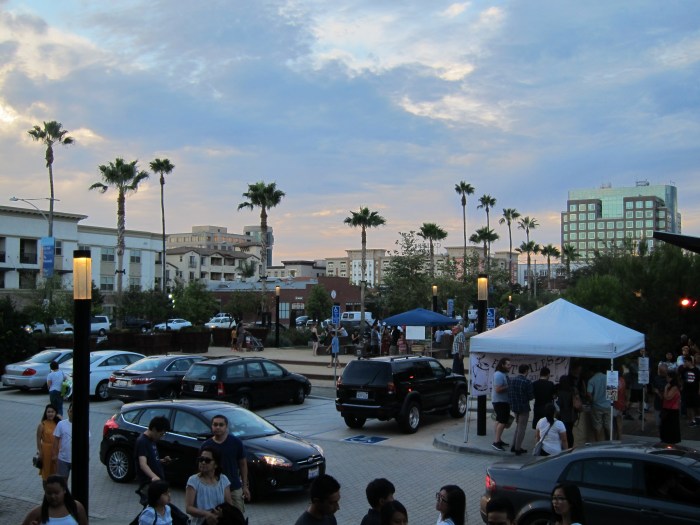 Palm trees and pretty skies for days!