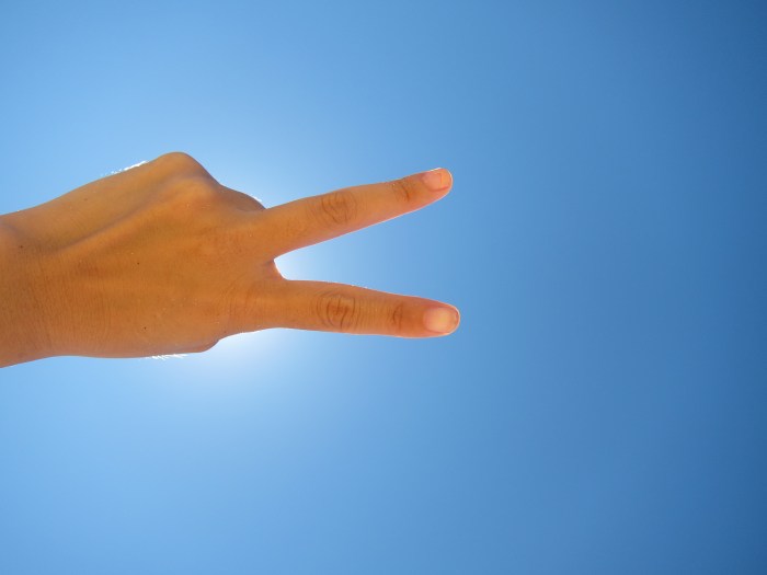 Peace in a very blue sky. No Clouds whatsoever.