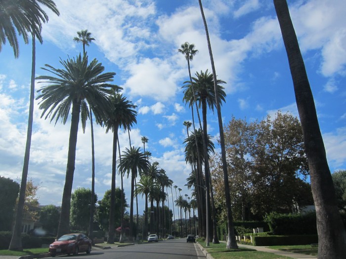 Just driving through some Beverly Hills neighborhoods.